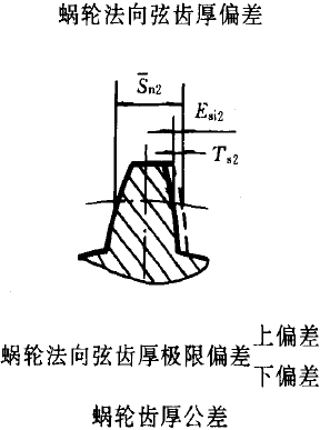 平面二次包絡環面蝸杆傳動精度蝸杆、蝸輪誤差的定義及代号